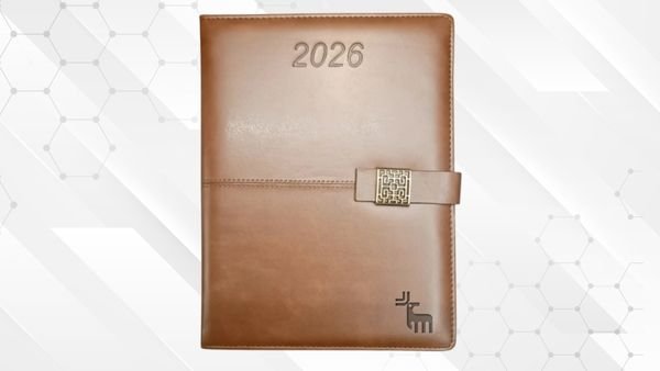 Premium New Year Diary